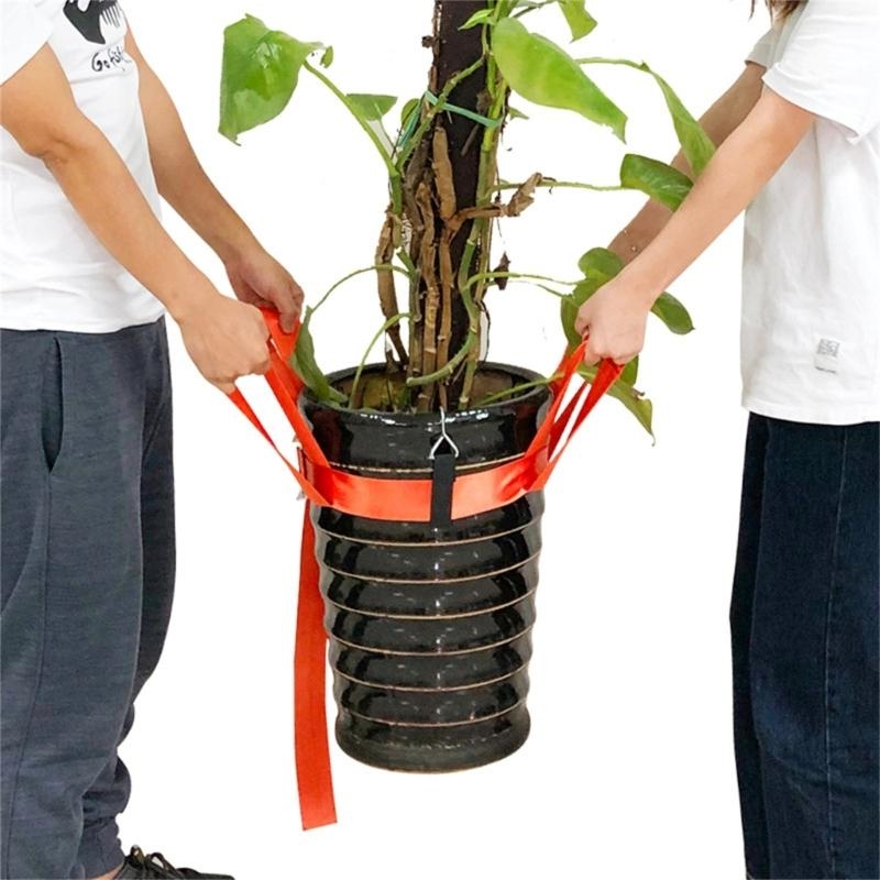 Ingemaakte plantenverhuizing p - Heavy Equipment Lift recensie en prijs